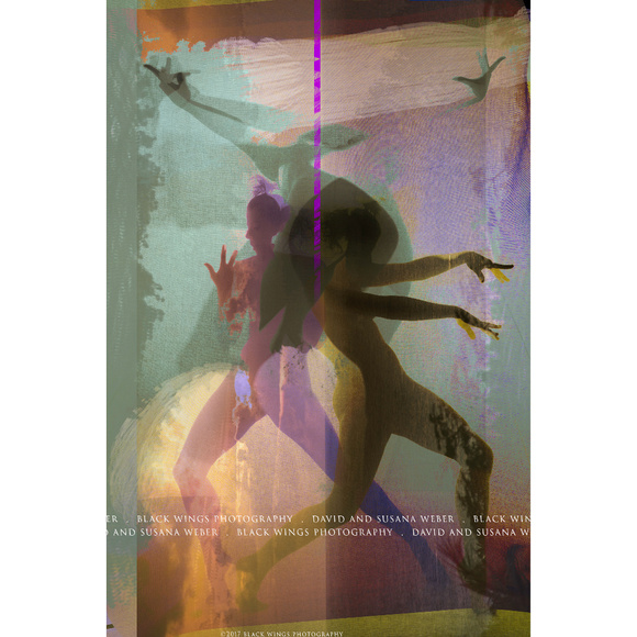 Black Wings Studio / Gallery - Picture 4 of 8